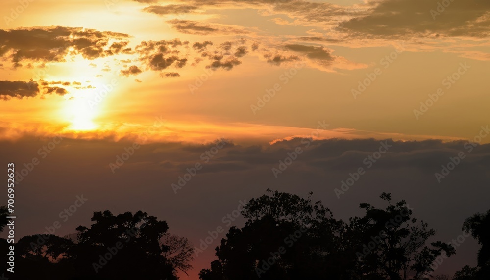 Sunset over the green trees in the rainforest of Amazonas