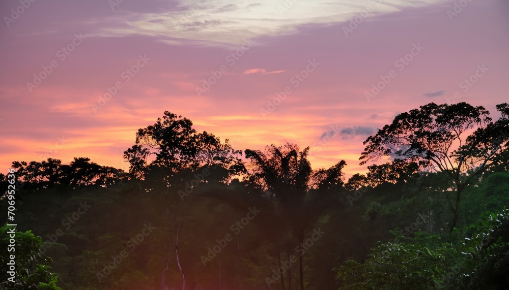Sunset over the green trees in the rainforest of Amazonas Sunset over the green trees in the rainforest of Amazonas