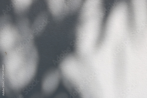 Photos from various things