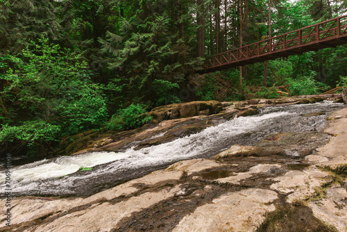 River Stream and Wooden Bridge in the Forest