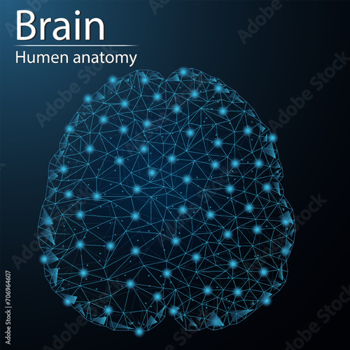 Human brain anatomy organ translucent low poly triangle futuristic glowing. On dark blue background. Brain disease medical innovation concept.