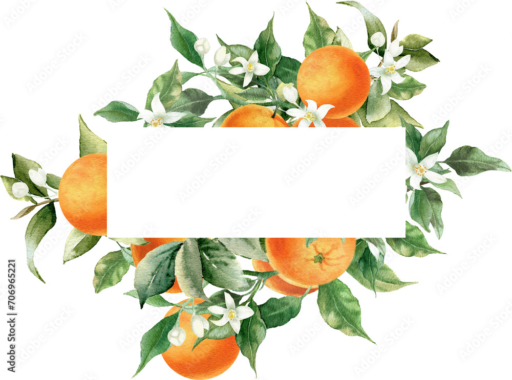 Orange fruit border frame. Watercolor illustration isolated on transparent background. Blossom orange branch for labels, prints, banners, citrus wedding invitation. Healthy food design elements
 - obrazy, fototapety, plakaty 
