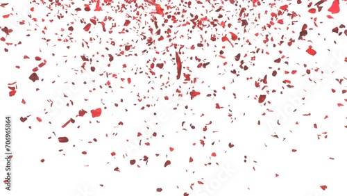 Two type color of rose petals confetti falling and rotating animation on the white background. wedding party rose petals confetti. seamless looping animation. photo