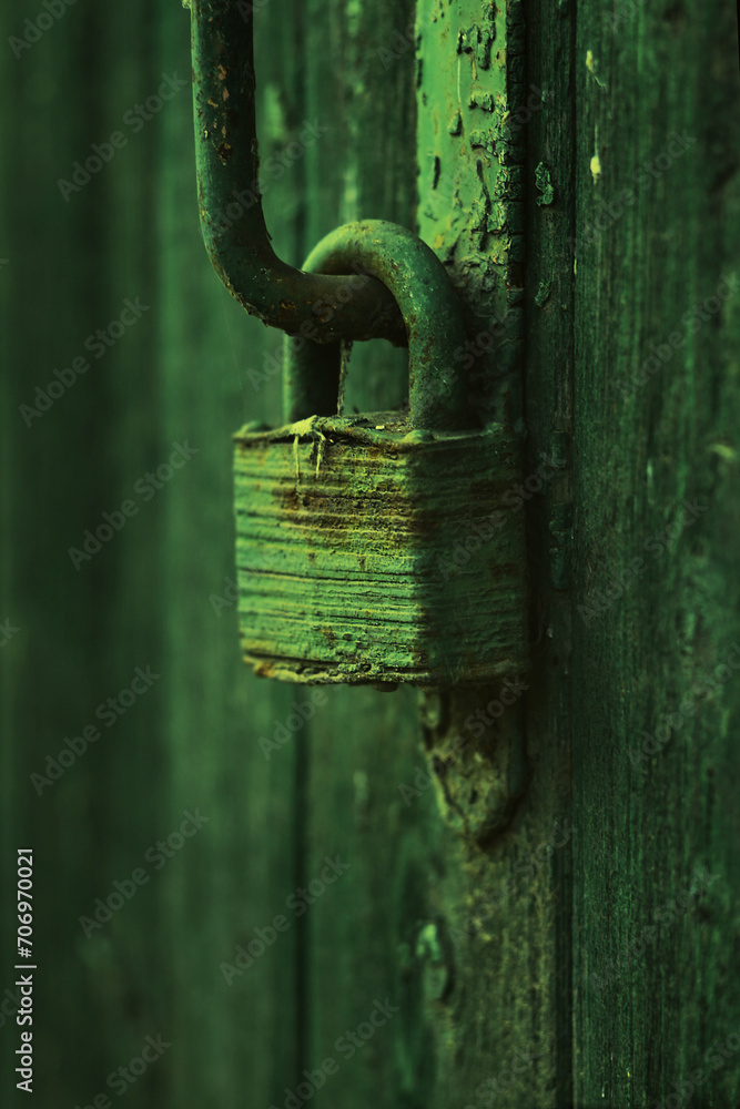 A green old wooden door with agreen steel lock.The lock on the door of the shed.Selected focus. A green old wooden door with agreen steel lock.The lock on the door of the shed.Selected focus.