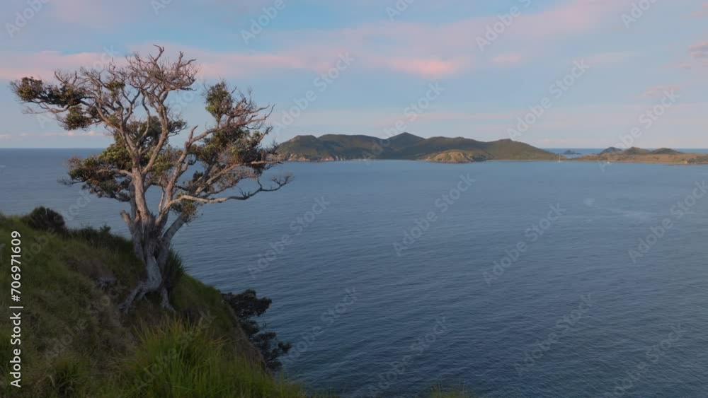 Aerial: Pohutukawa tree clinging to a cliff edge. Matauri Bay, Northland, New Zealand. Aerial: Pohutukawa tree clinging to a cliff edge. Matauri Bay, Northland, New Zealand.