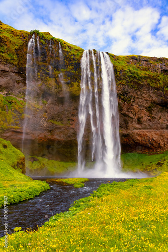 Majestic and famous waterfall    Seljalandsfoss    falling from a volcanic rim in Iceland.  Impressive high cascade in colorful scenery with yellow flowers  green meadow  red volcanic rock and blue sky.