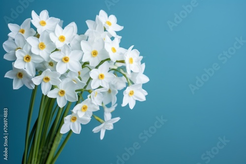 bouquet of white narcissus on a blue colored backdrop isolated pastel background