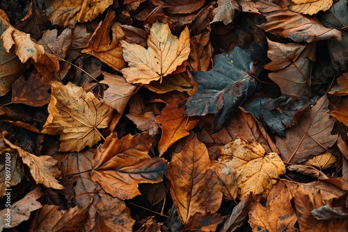 Nature's Carpet: A Rustic Pile of Dry Leaves as a Visual Delight