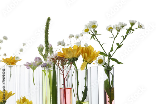 Фотография PNG, Test tubes with flowers, isolated on white background