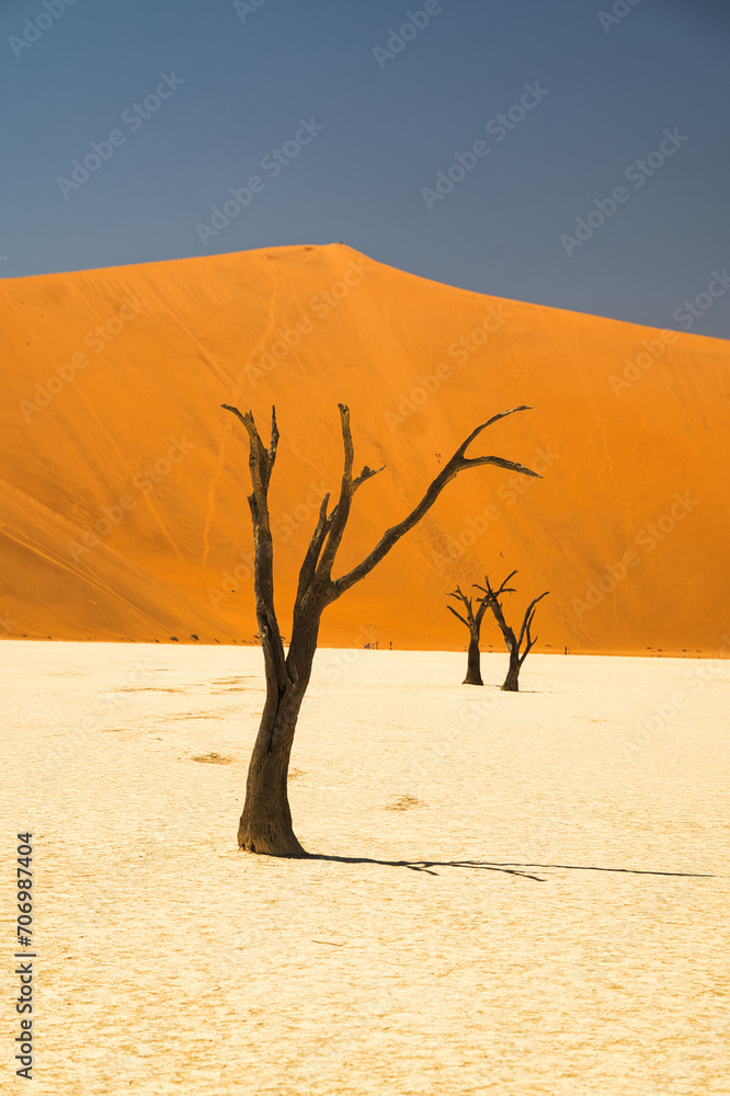 death valley
Namibie 
duna 
