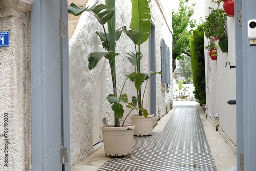 green plants in the hotel, interior design indoor