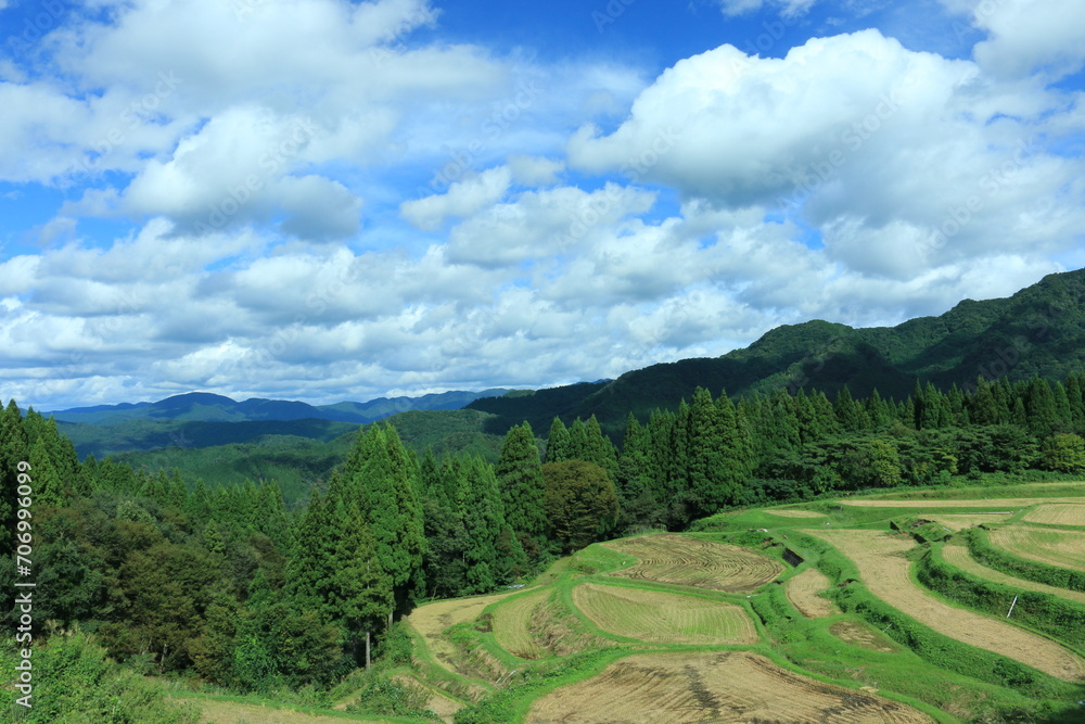 Naklejka premium うへ山の棚田