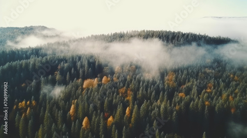 Foggy Autumn Coniferous Forest Landscape aerial view background. Travel serene scenic view. Ai Generative. © Santy Hong