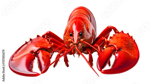
lobster png, seafood delicacy, lobster clipart, culinary illustration, delicious dish, transparent background, lobster tail, gourmet cuisine, ocean-inspired delight