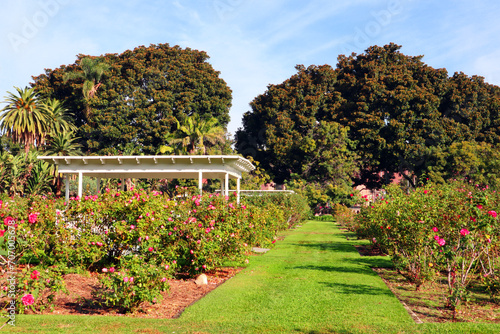 Los Angeles, California: Exposition Park Rose Garden at 701 State Dr, Los Angeles  photo