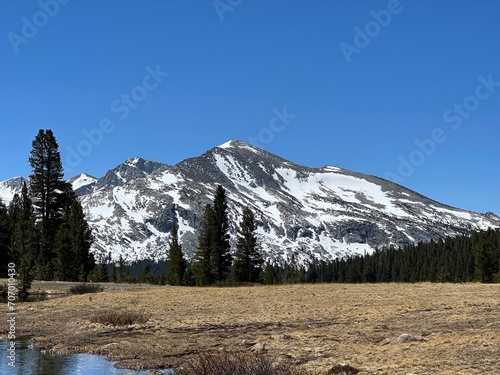 Mount Dana photo