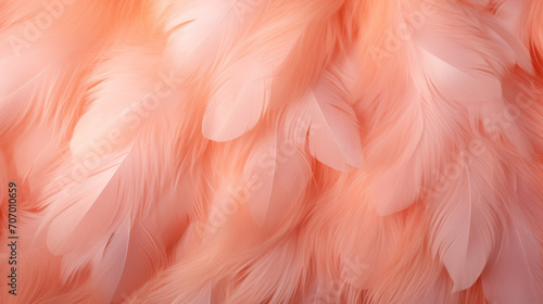 Feathers in a peach fuzz color as a background. Top view. © Nikolay