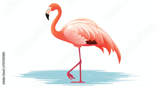 Flamingo illustration vector