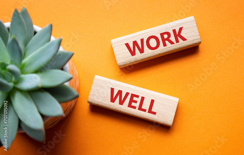 Work Well symbol. Concept word Work Well on wooden blocks. Beautiful orange background with succulent plant. Business and Work Well concept. Copy space