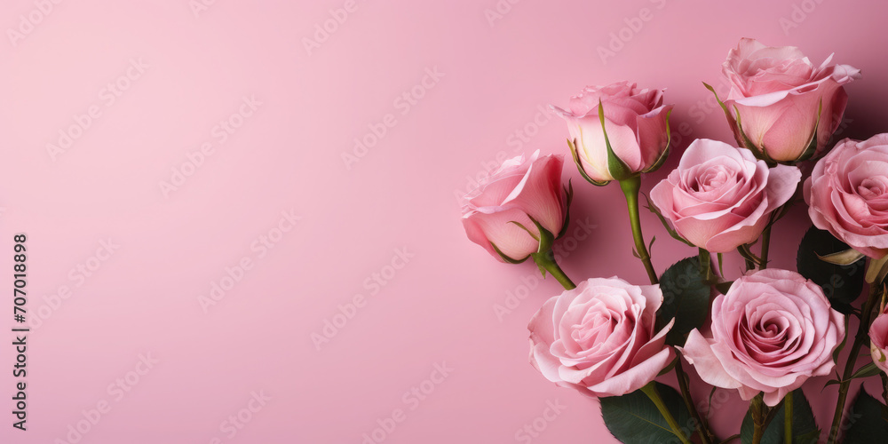 Greeting background with freshly pink roses flowerson a pink background . Festive banner for birthday, mother's day, March 8, anniversary.Flat lay, top view. Copy space. Mock up.