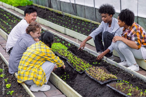 group of young school teenager learning plant vegetable nursery agriculture farm gardening in greenhouse photo
