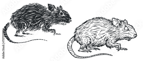 Rat in vintage hand drawn style. Monochrome illustration for tattoo, mascot, emblem. Vector illustration.