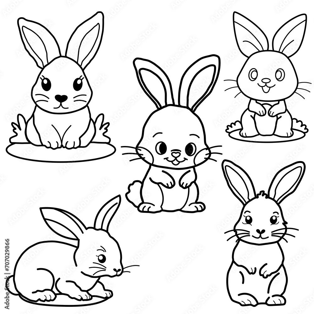 Rabbit outline couring book