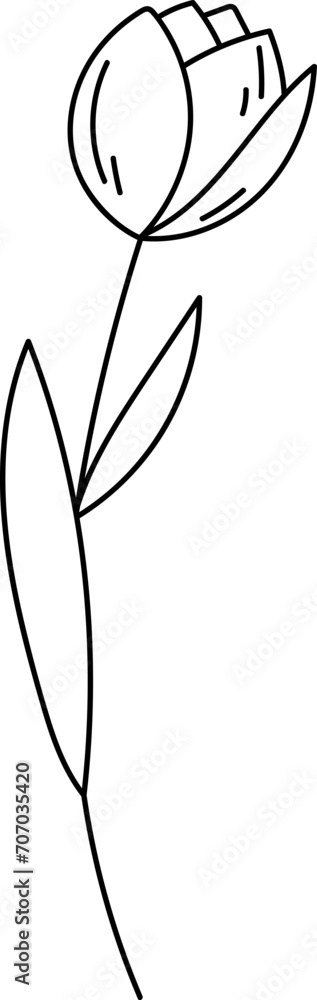 Obraz premium Flower Plant Outline