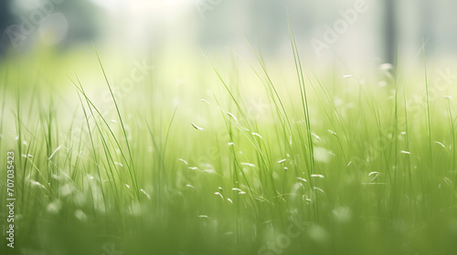 Fotografia tipo macro de un paisaje con cesped y hierbas del campo con un fondo difuminado en primavera