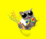 Happy cat wearing tie bow and sunglasses looks through a hole in yellow paper holds exploding firecracker