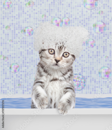 Funny kitten covered with soap bubbles takes the bath in bathroom at home © Ermolaev Alexandr