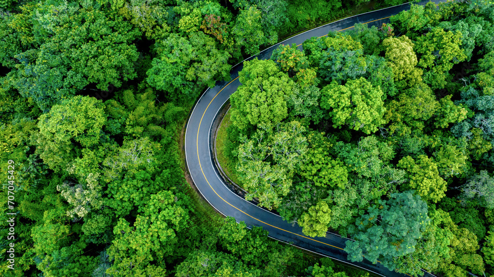 Aerial top view road in forest with car motion blur. Winding road through the forest. Car drive on the road between green forest. Ecosystem ecology healthy environment road trip. Aerial top view road in forest with car motion blur. Winding road through the forest. Car drive on the road between green forest. Ecosystem ecology healthy environment road trip.