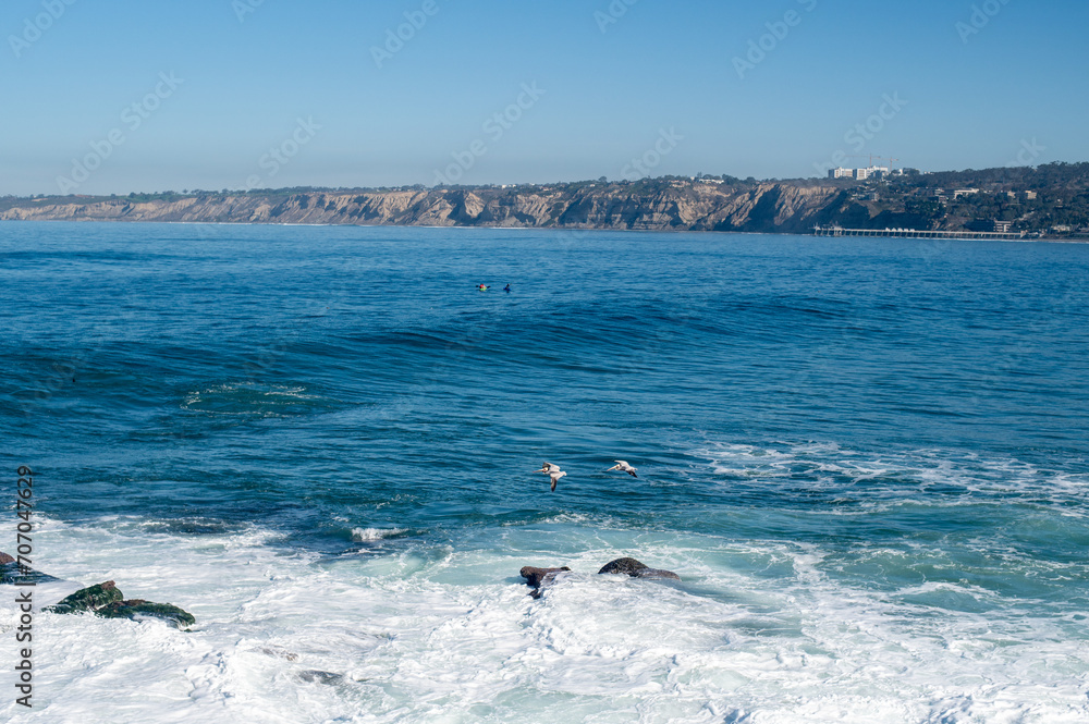 Obraz premium Pelicans flying over the ocean