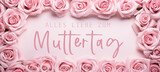 Alles Liebe zum Muttertag Feiertag Grußkarte mit deutschem Text - Rahmen aus Rosen auf pinkem Tisch Hintergrund, Draufsicht