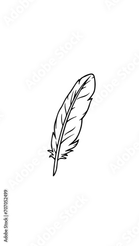 pluma vector