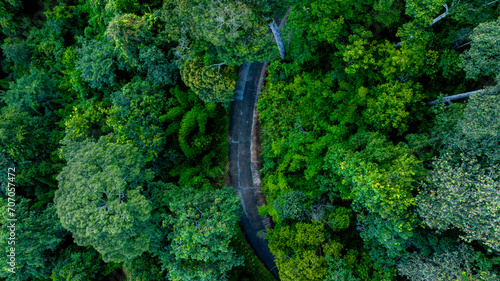 Aerial top view road in forest with car motion blur. Winding road through the forest. Car drive on the road between green forest. Ecosystem ecology healthy environment road trip. © Darunrat