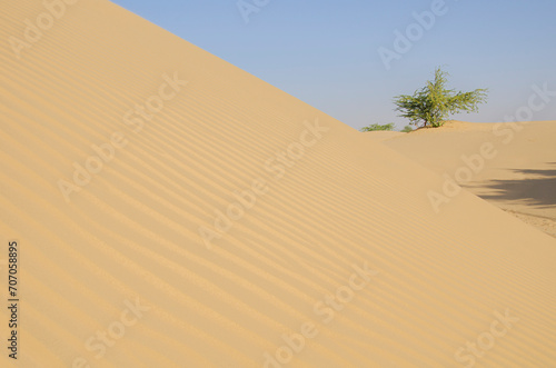 Khuri sand dunes  Jaisalmer  Rajasthan  India  Asia. Background. Backdrop. Wallpaper.