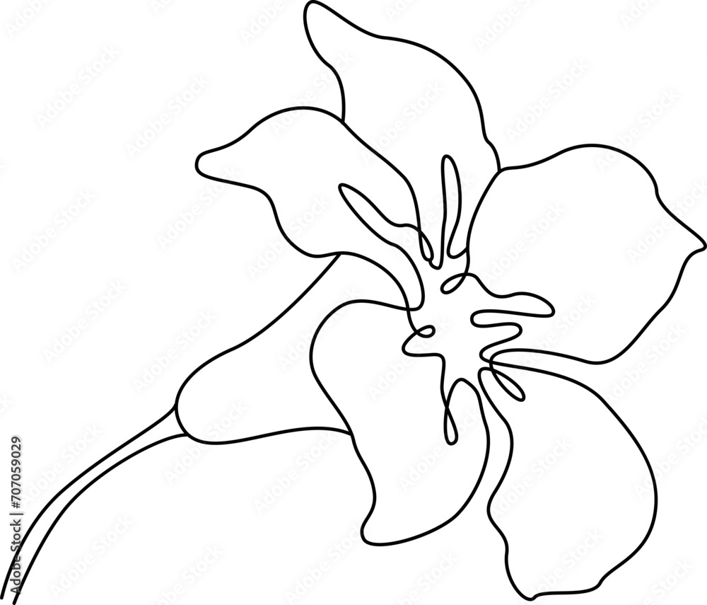Tropical Flower Outline Tropical Flower Outline