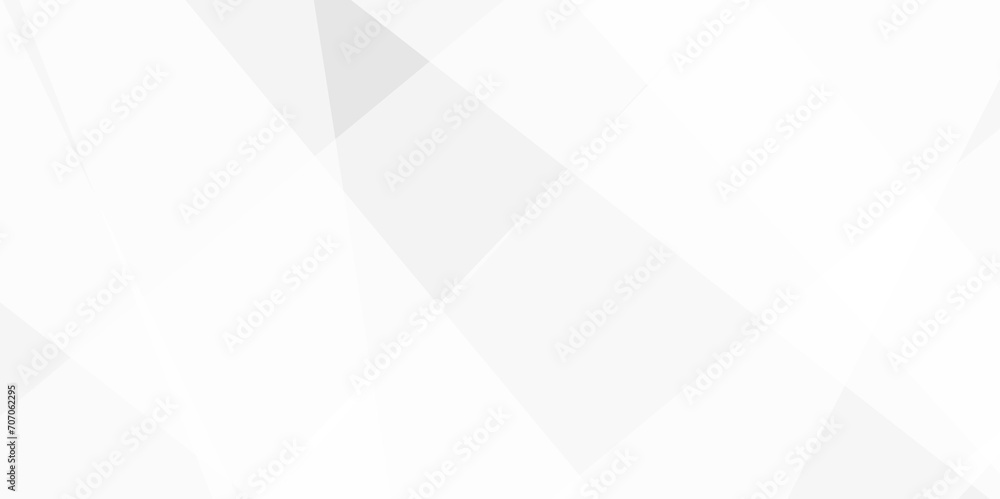 Obraz premium Abstract background with white and gray and geometric style with simple lines and corners, triangle as background geometric style with simple lines and corners, triangle as background paper texture