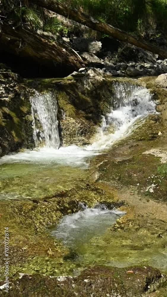 Vertical shot of a small waterfall from a mountain stream in a forest, evening sun, slow motion Vertical shot of a small waterfall from a mountain stream in a forest, evening sun, slow motion
