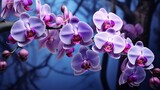 Beautiful orchid flowers purple colors wallpaper image Ai generated art
