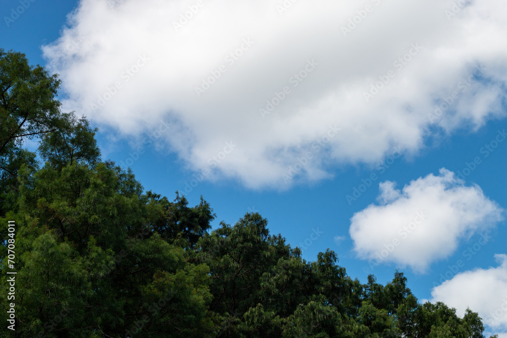 cielo azul con nube cielo azul con nube