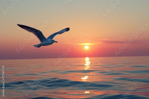 Seagull flying over a calm ocean at sunset © furyon