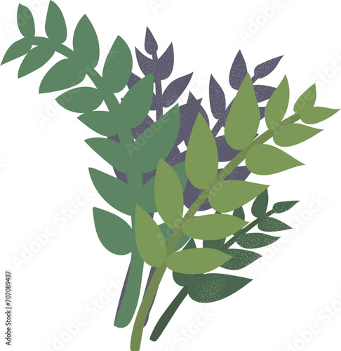 Bouquet of green branches with leaves. Nature spring concept with leafy plant...