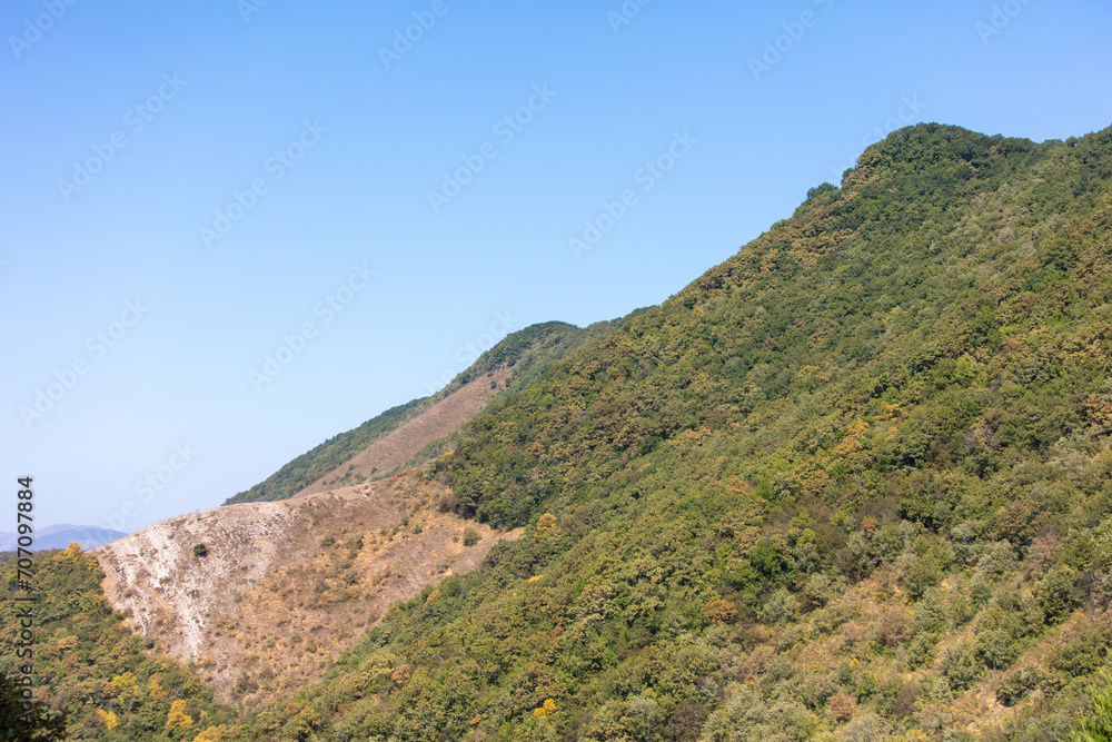 Mountains overgrown with green forest against the sky