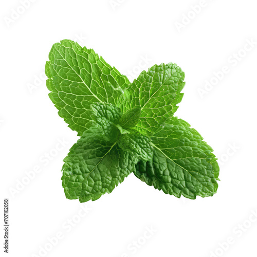 healthy mint isolated on white