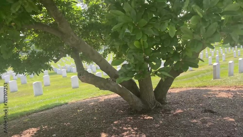 Strolling through the magnificent and famous Arlington National Military Cemetery in Washington DC, the capital of the United States of America. photo