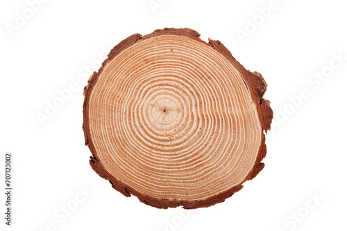 Cross section of tree stump, isolated on white