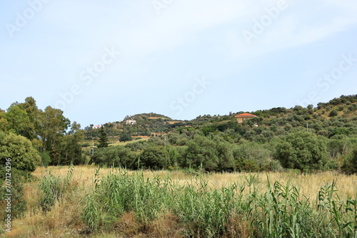 typical landscape in Sardinia in spring  Italy