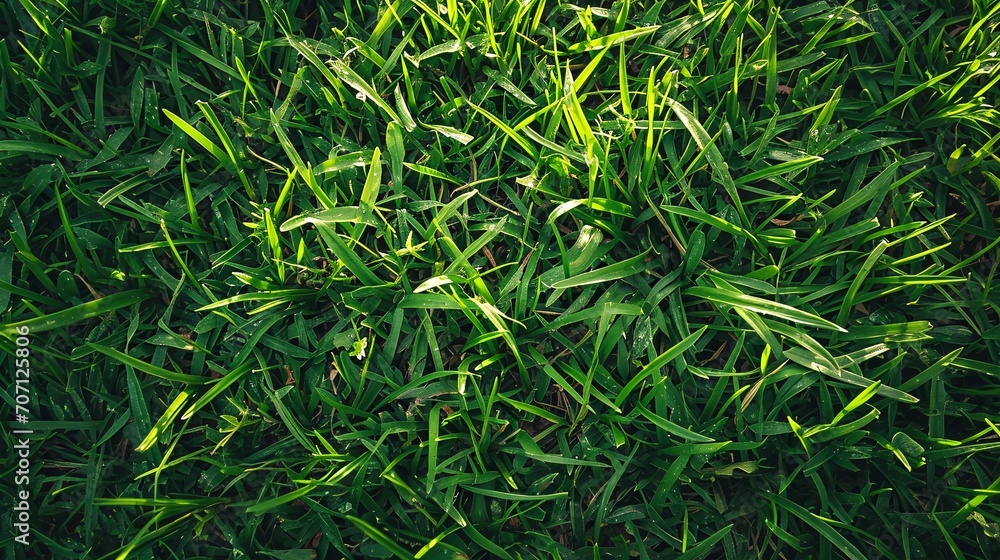 Green turf top view texture for golf course or sports field lawn. Green turf top view texture for golf course or sports field lawn.